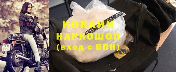 сатива Гусиноозёрск
