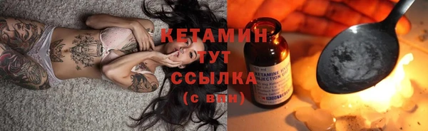 амф Гусев