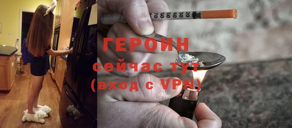 амф Гусев