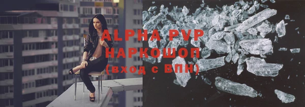 амф Гусев