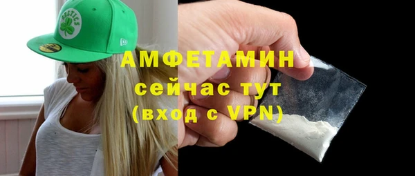 амф Гусев