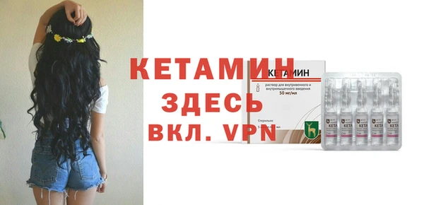 амф Гусев