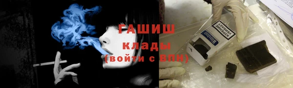 амф Гусев