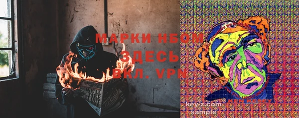 сатива Гусиноозёрск