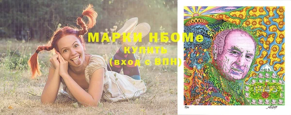 сатива Гусиноозёрск