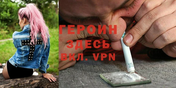 амф Гусев
