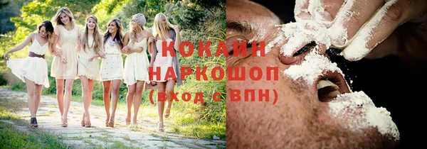 сатива Гусиноозёрск