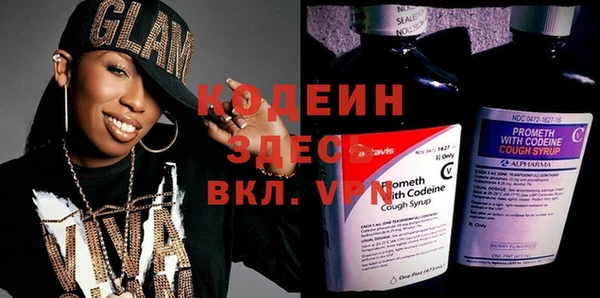 амф Гусев