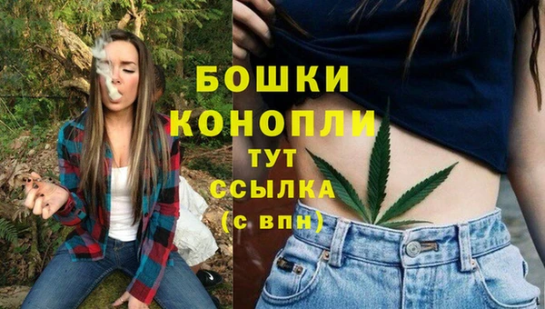 амф Гусев
