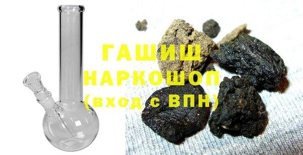 амф Гусев