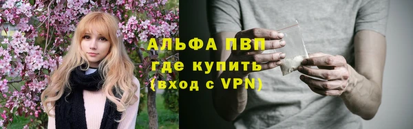 сатива Гусиноозёрск