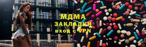 амф Гусев