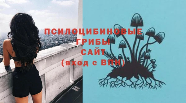первитин Гусь-Хрустальный