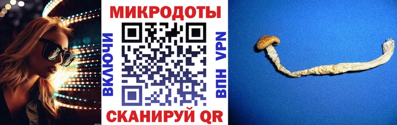 Псилоцибиновые грибы MAGIC MUSHROOMS  Купить  Полесск 